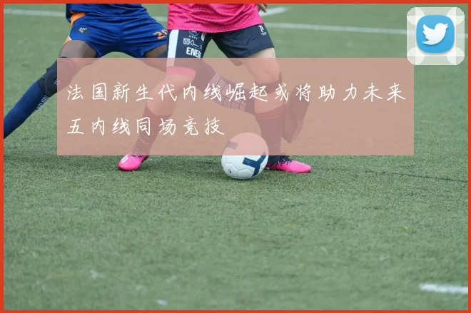 法国新生代内线崛起或将助力未来五内线同场竞技